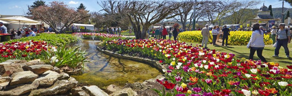 Scavenger Hunt in Bowral
